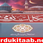Hikayat e Roomi Urdu Novel By Maulana Jalal Ud Din Roomi Download