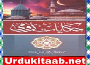 Read more about the article Hikayat e Roomi Urdu Novel By Maulana Jalal Ud Din Roomi Download