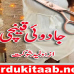 Jadooi Qenchi Urdu Novel By Waleed Shokat Download