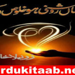 Jahan Roshni Ho Khaloos Ki Urdu Novel By Zarneela Khan Download