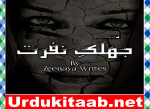 Read more about the article Jhalak E Nafrat Urdu Novel By Zeenia Writers Download
