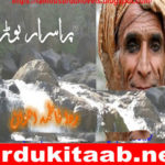 Purisrar Burha Urdu Novel By Rida Fatima Awan Download