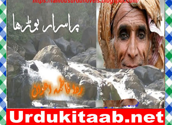 Purisrar Burha Urdu Novel By Rida Fatima Awan Download
