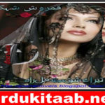 Tera Ishq Mashal E Rah Urdu Novel By Qamrosh Shehk Download