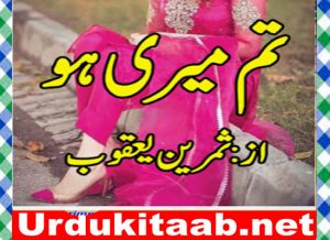 Read more about the article Tum Meri Ho Urdu Novel By Samreen Yaqoob Download