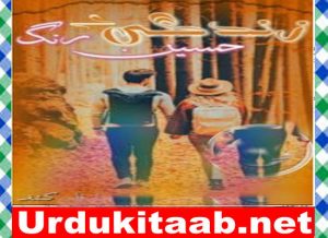 Read more about the article Zindagi Ke Haseen Rang Urdu Novel By Kashaf Download