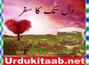 Read more about the article Dil Tak Ka Safar Urdu Novel By Nisha Shahid Download