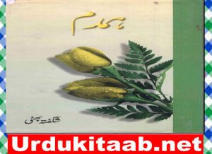 Read more about the article Humdam Urdu Novel By Shagufta Bhatti Download