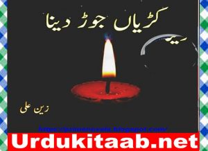 Read more about the article Kariyan Jor Dena Urdu Novel By Zain Ali