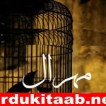 Mehraal Urdu Novel By Sania Mumtaz Download