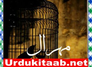 Read more about the article Mehraal Urdu Novel By Sania Mumtaz Download