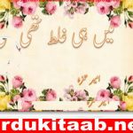 Mein He Ghalat Thi By Ameer Hamza