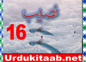 Read more about the article Naseeb Urdu Novel By Biya Talhat Part 16 Download