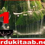 Naseeb Urdu Novel By Princess Rabi Shah Episode 1 Download