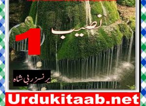 Read more about the article Naseeb Urdu Novel By Princess Rabi Shah Episode 1 Download