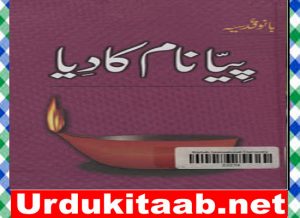 Read more about the article Piya Naam Ka Diya Urdu Novel By Bano Qudsia Download