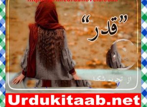 Read more about the article Qadar Urdu Novel By Tehreem Shakeel Download