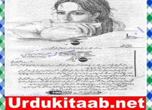 Read more about the article Shehr E Tamanna Urdu Novel By Naeema Naz Download