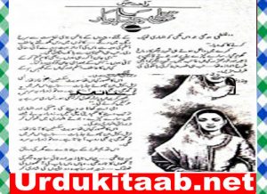 Read more about the article Titli Jaisa Pyar Urdu Novel By Rahat Jabeen Episode 6 Download