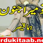 Tu Mera Junoon Urdu Novel By Huma Qaiser Download