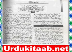 Read more about the article Aik Pal Ki Udasi Urdu Novel By Misbah Haani Download