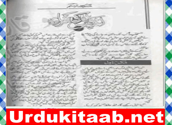 Aik Pal Ki Udasi Urdu Novel By Misbah Haani Download