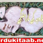 Bilawaja Ki Narazgi Urdu Novel By Maryeam Ali Download