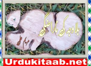 Read more about the article Bilawaja Ki Narazgi Urdu Novel By Maryeam Ali Download