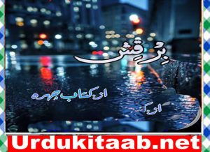 Read more about the article Birqish Urdu Novel By Kitab Chehra Download