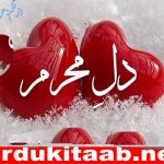 Dil E Mehram Urdu Novel By Hira Qadeer Episode 2 Download