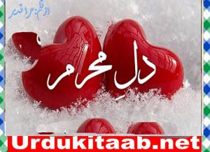 Read more about the article Dil E Mehram Urdu Novel By Hira Qadeer Episode 2 Download