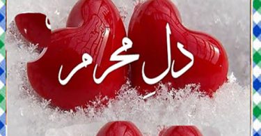 Dil E Mehram Urdu Novel By Hira Qadeer Episode 2 Download
