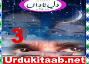 Read more about the article Dil E Nadan Urdu Novel By Sahir Ali Tabassum Episode 3 Download