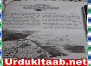 Read more about the article Haray Bhi To Bazi Maat Nahin By Shazia Jamal Tariq Download