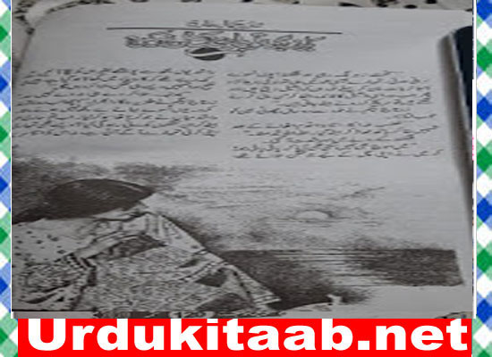 Haray Bhi To Bazi Maat Nahin By Shazia Jamal Tariq Download