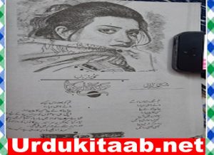 Read more about the article Man Ka Papiha Urdu Novel By Gul Arbab Download