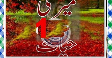 Meri Hayat Urdu Novel By Zarish Hussain Episode 1 Download