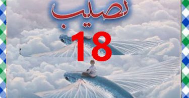 Naseeb Urdu Novel By Biya Talhat Part 18 Download