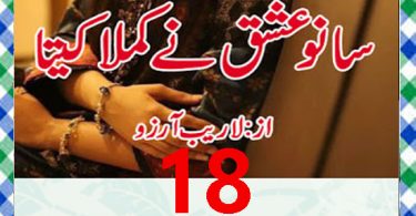 Sano Ishq Ne Kamla Kita Urdu Novel By Laraib Arzo Episode 18 Download