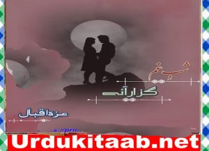 Read more about the article Shab E Gham Guzar Aye Urdu Novel By Ezza Iqbal Episode 7 Download