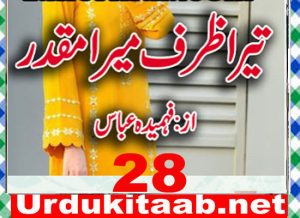 Read more about the article Tera Zarf Mera Muqaddar By Fahmida Abbas Episode 28 Download