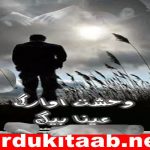 Wehshat E Awargi Urdu Novel By Ayna Baig Download