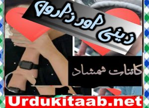 Read more about the article Zaini Aur Zaroon Urdu Novel By Kainat Shamshad Download