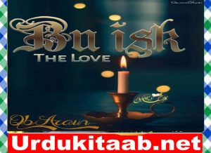 Read more about the article BUASK Urdu Novel By QB ARAIN Download