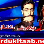 Chotay Sultan Urdu Novel By Muhammad Shoaib Download