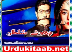 Read more about the article Chotay Sultan Urdu Novel By Muhammad Shoaib Download
