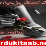 Ek Kasak Taa Hayyat Urdu Novel By Aliya Khan Download