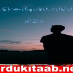 Meri Tanhai Meri Jaan Pe Bani Hai Saiyan Novel By Areej Shah Download