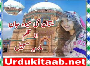 Read more about the article Multan Ki Mewa Jan Urdu Novel By Maria Sohail Download