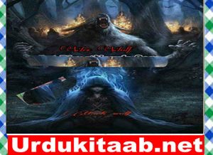 Read more about the article The Wex Wolf Urdu Novel by Mehwish Ali Download